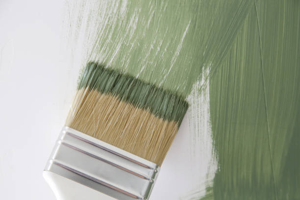 Best Black Mold Removal  in Chino Valley, AZ