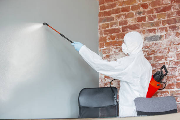 Best Dehumidification Services  in Chino Valley, AZ