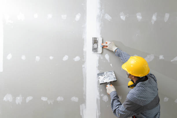 Best Mold Removal for HVAC Installations  in Chino Valley, AZ