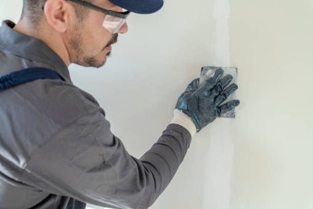 Best Asbestos and Lead Testing During Mold Inspection  in Chino Valley, AZ