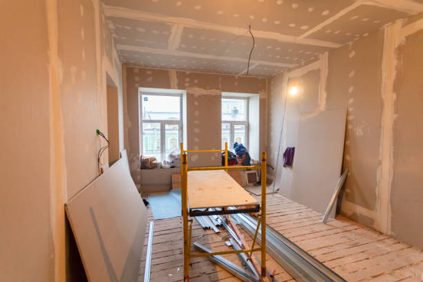 Best Basement Mold Removal  in Chino Valley, AZ