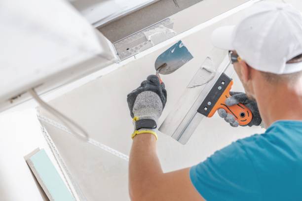 Best Mold-Related Health Consultation  in Chino Valley, AZ